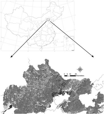 Diversity and taxonomy of the genus Amanita (Amanitaceae, Agaricales) in the Yanshan Mountains, Northern China